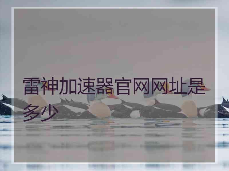 雷神加速器官网网址是多少