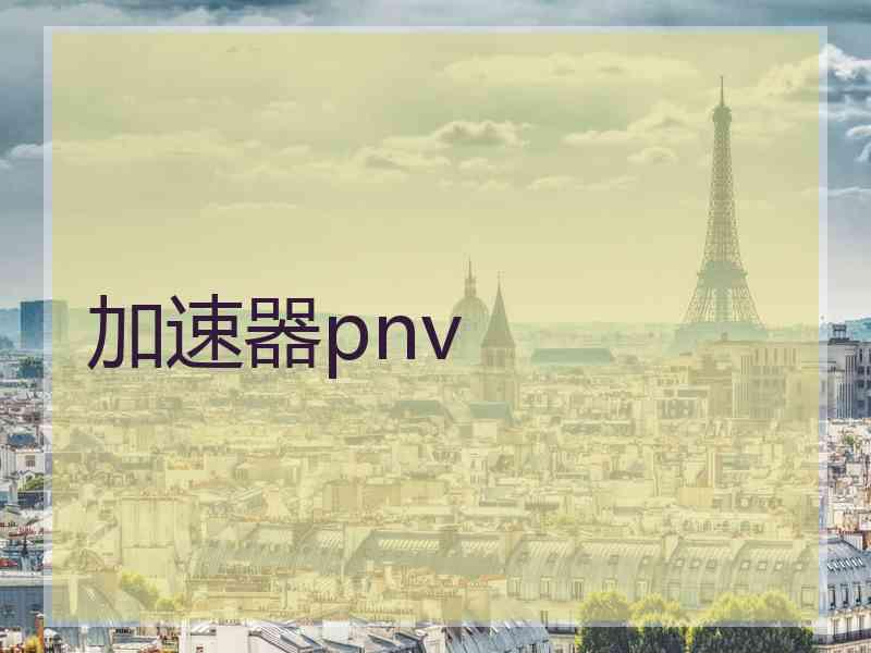加速器pnv