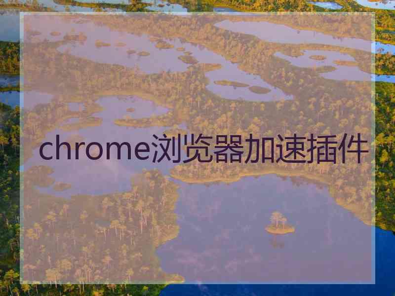 chrome浏览器加速插件