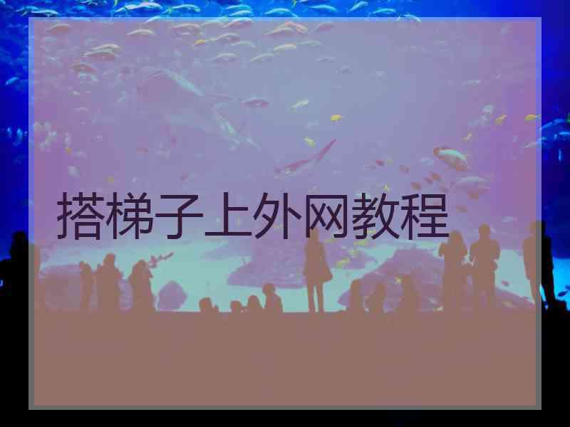搭梯子上外网教程