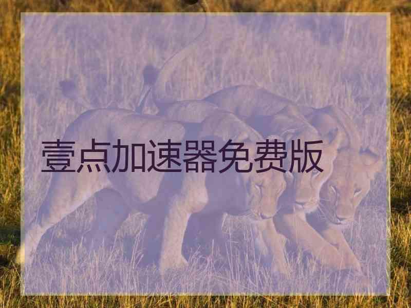 壹点加速器免费版