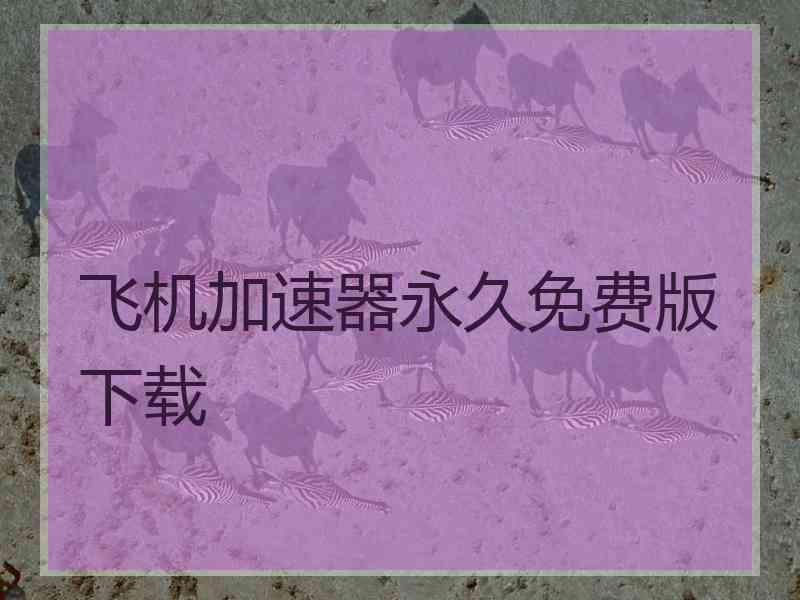 飞机加速器永久免费版下载