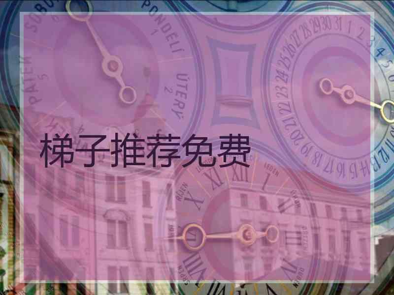 梯子推荐免费