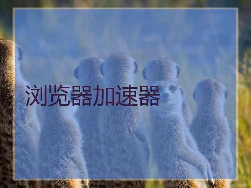 浏览器加速器