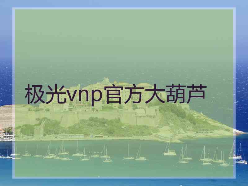 极光vnp官方大葫芦