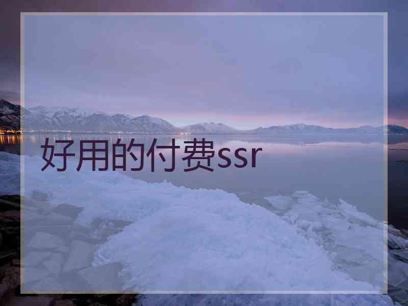 好用的付费ssr