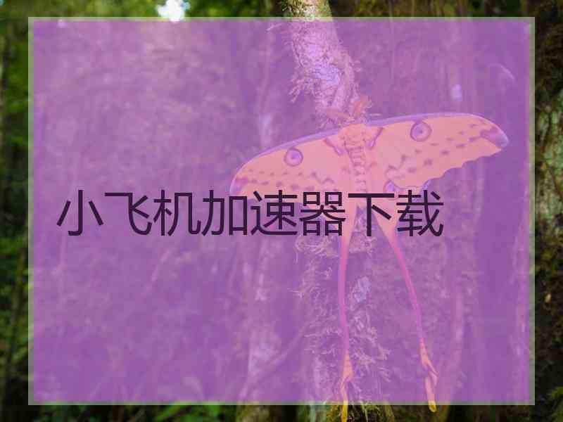 小飞机加速器下载