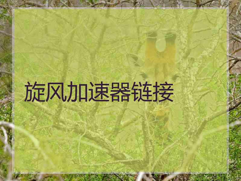 旋风加速器链接