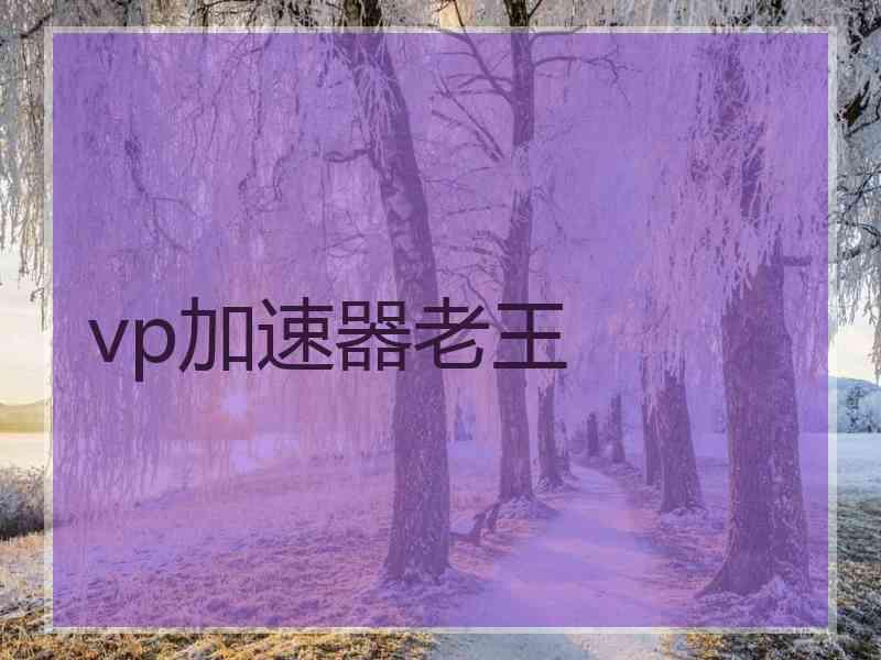 vp加速器老王