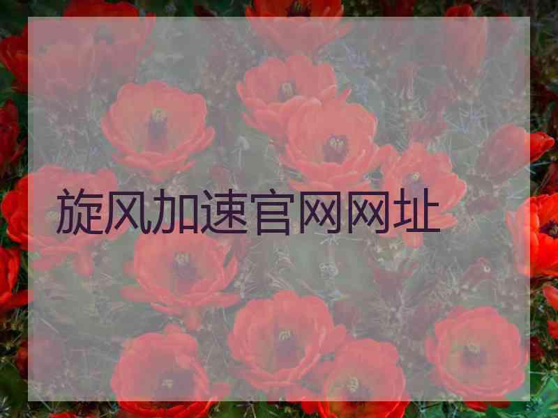 旋风加速官网网址