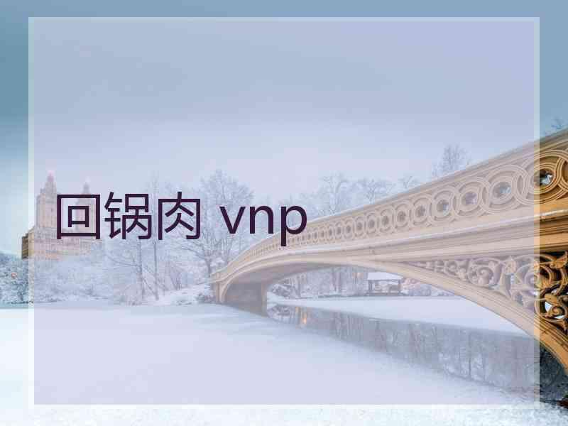 回锅肉 vnp