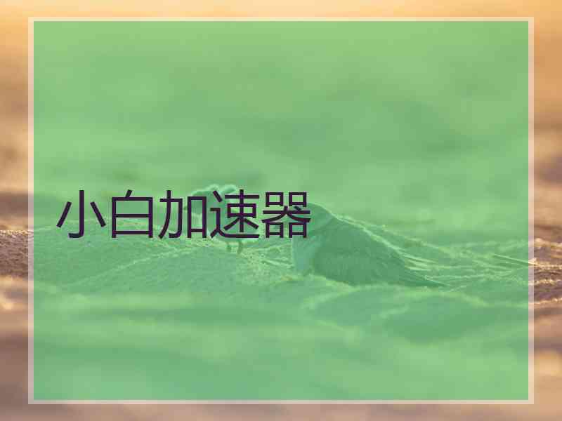 小白加速器