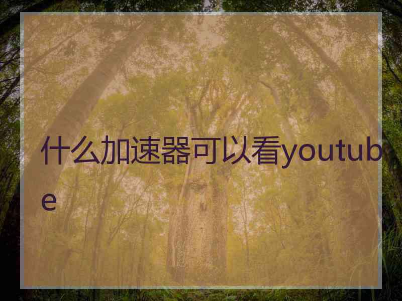 什么加速器可以看youtube