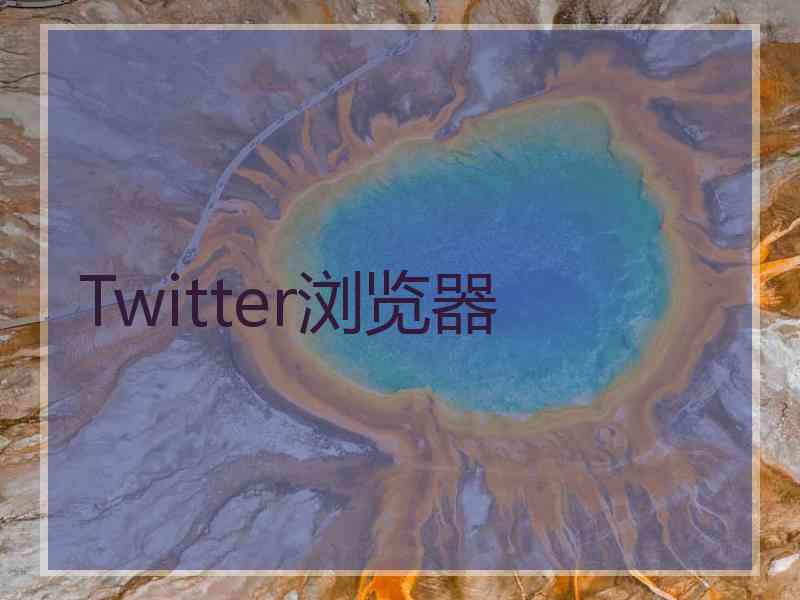 Twitter浏览器