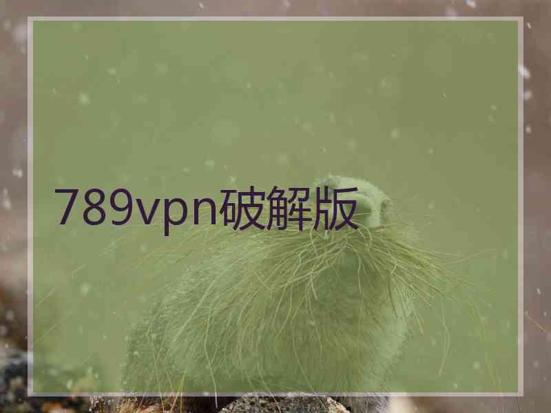 789vpn破解版