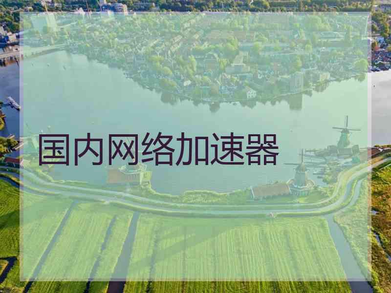 国内网络加速器