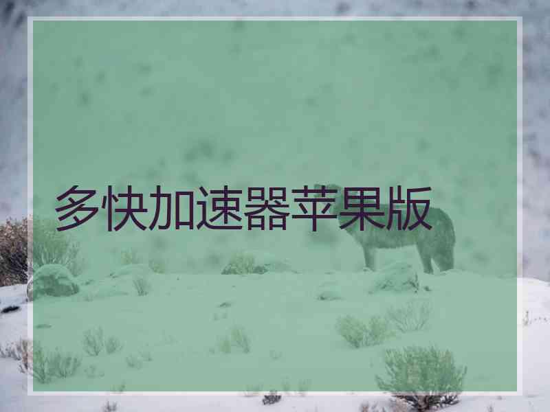 多快加速器苹果版