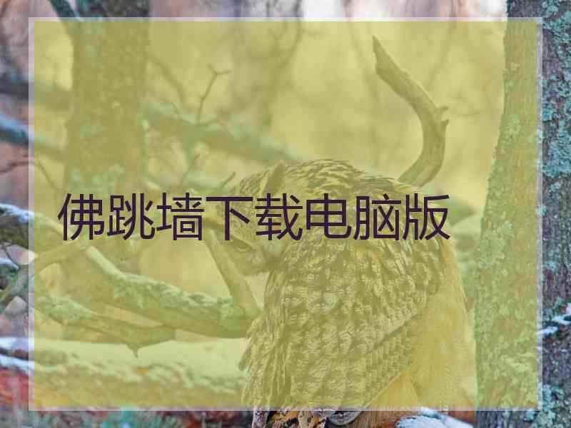 佛跳墙下载电脑版