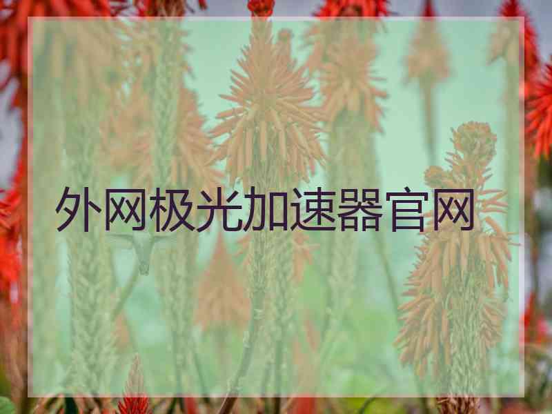 外网极光加速器官网