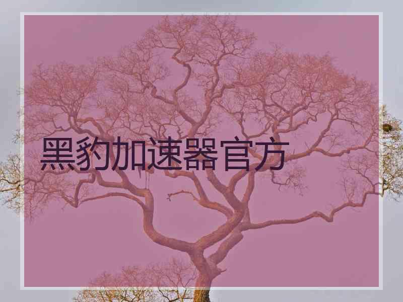 黑豹加速器官方