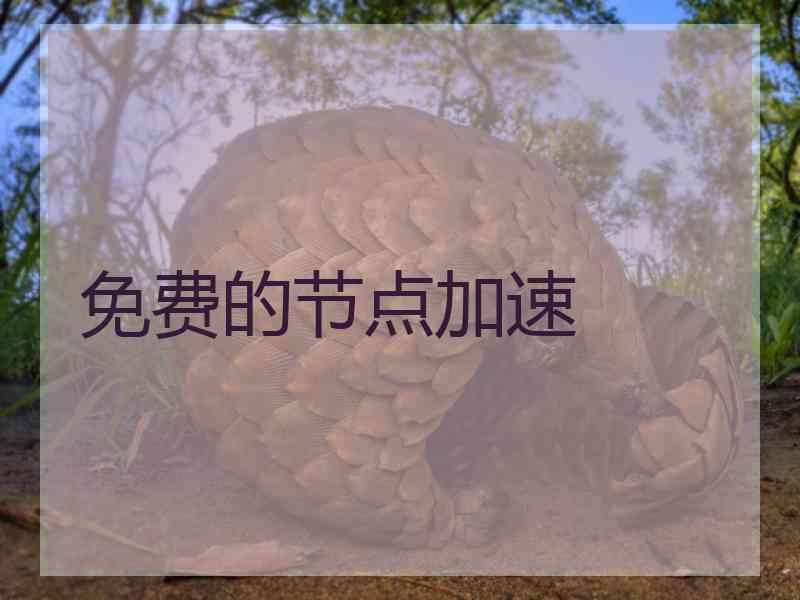免费的节点加速