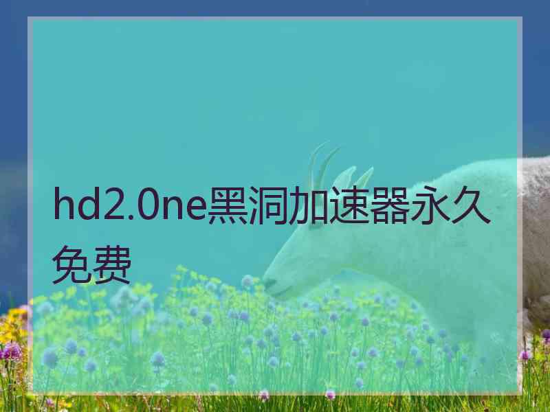 hd2.0ne黑洞加速器永久免费