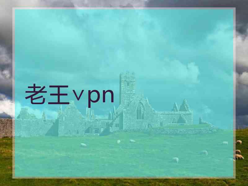 老王∨pn