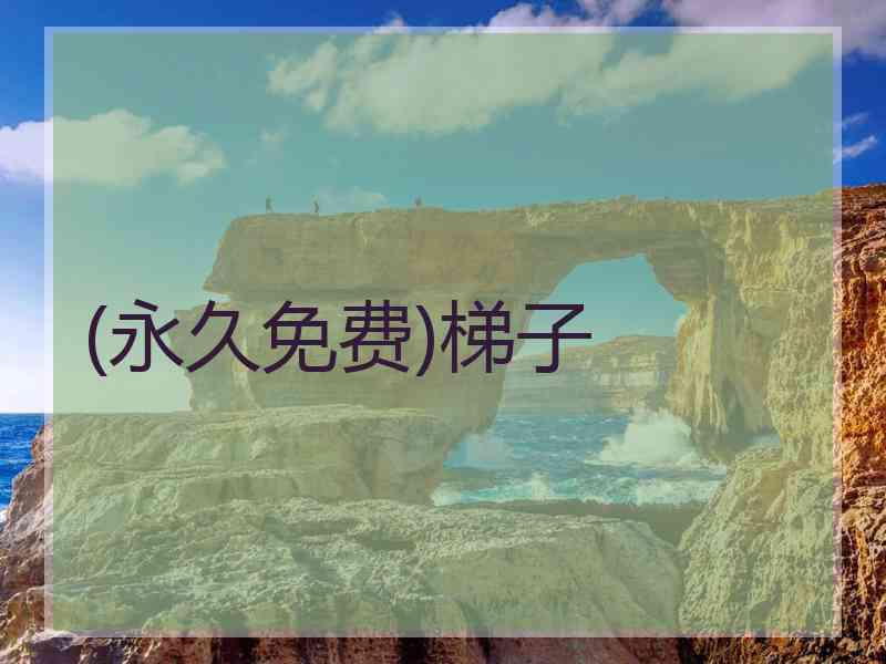 (永久免费)梯子