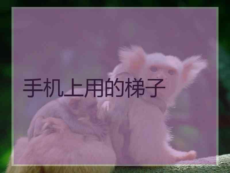 手机上用的梯子