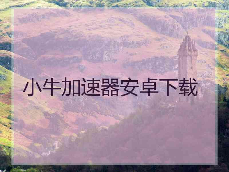 小牛加速器安卓下载