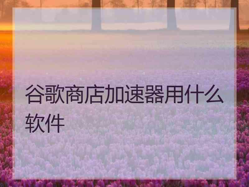 谷歌商店加速器用什么软件