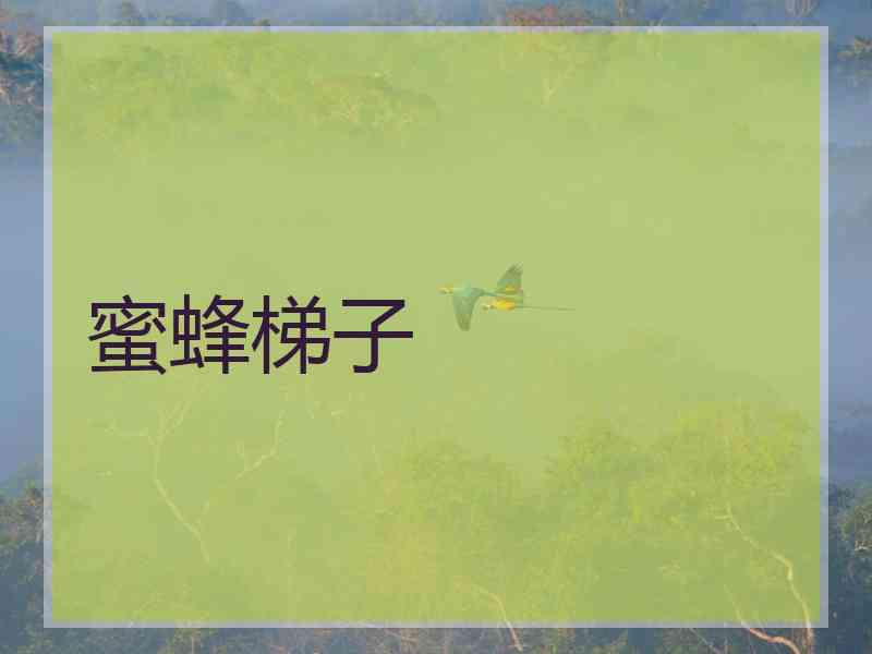 蜜蜂梯子