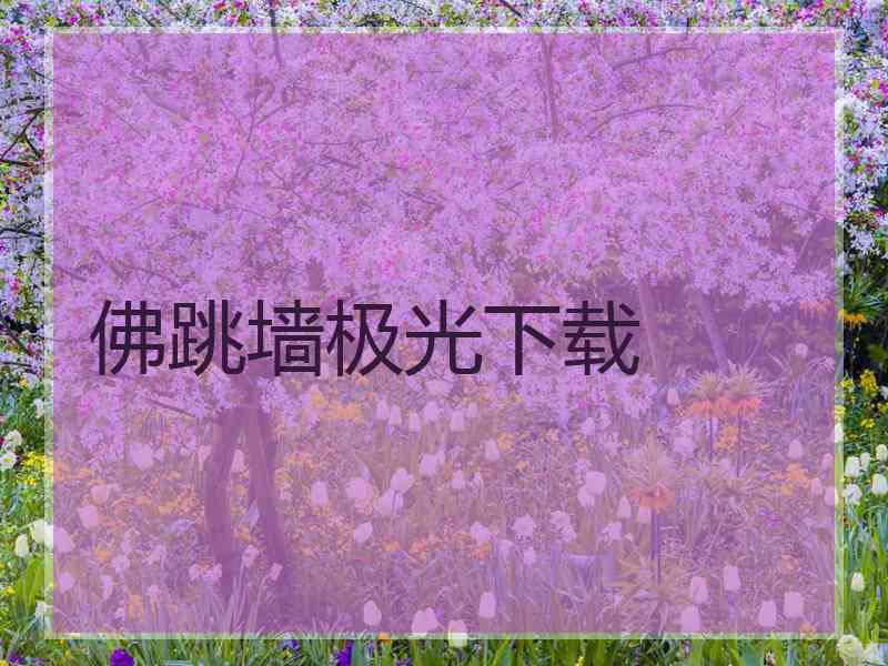佛跳墙极光下载