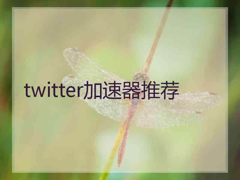 twitter加速器推荐