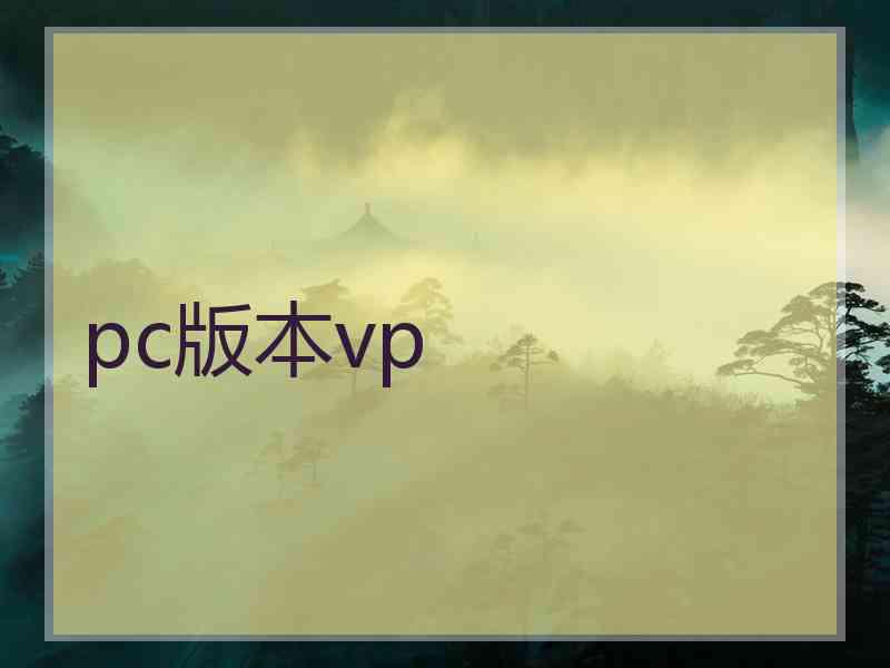 pc版本vp