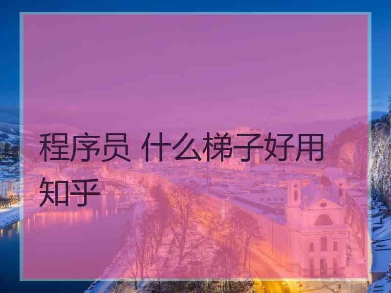程序员 什么梯子好用 知乎