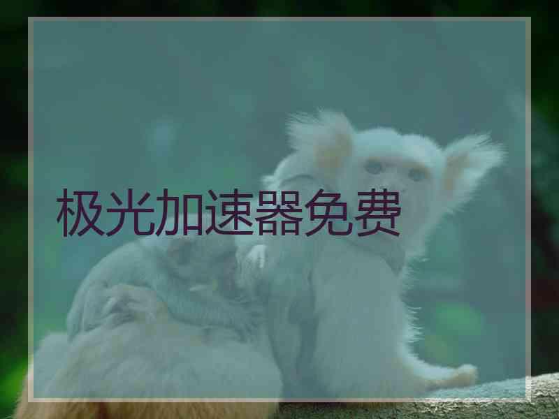 极光加速器免费