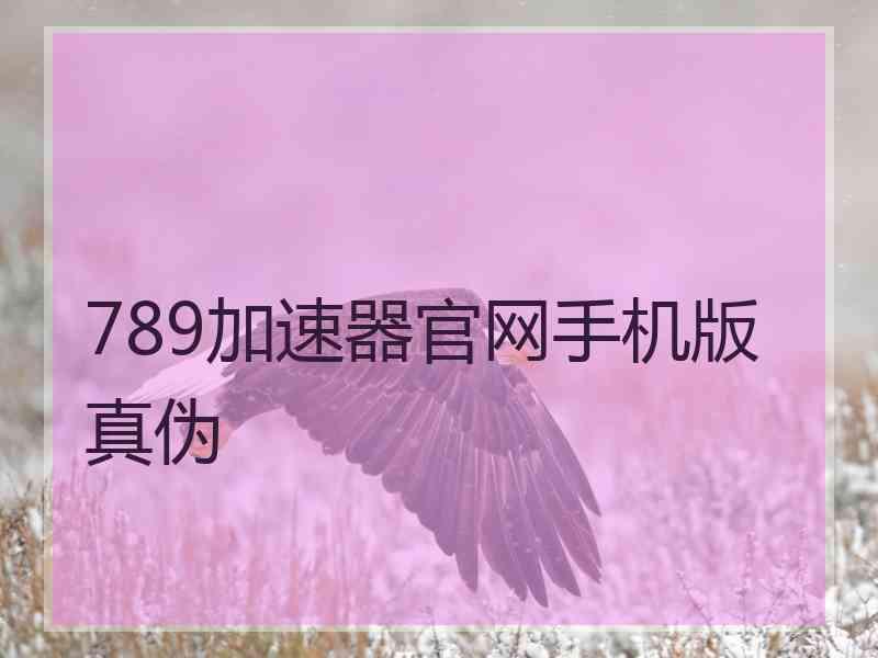 789加速器官网手机版真伪