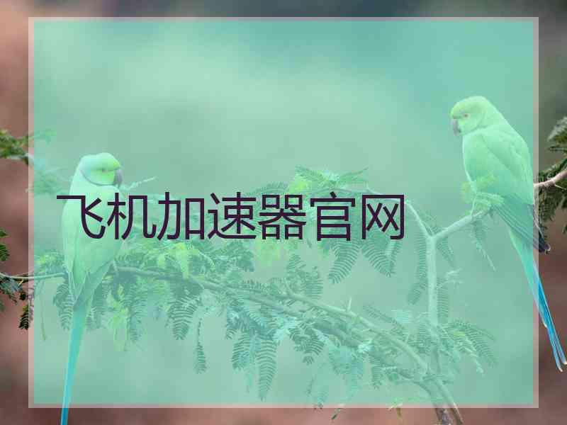 飞机加速器官网