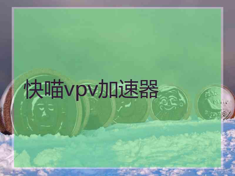 快喵vpv加速器