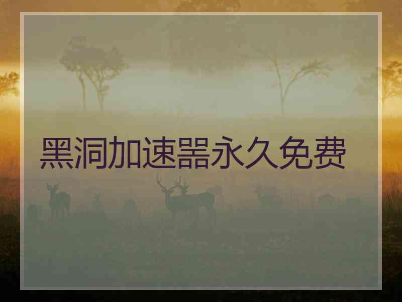 黑洞加速噐永久免费