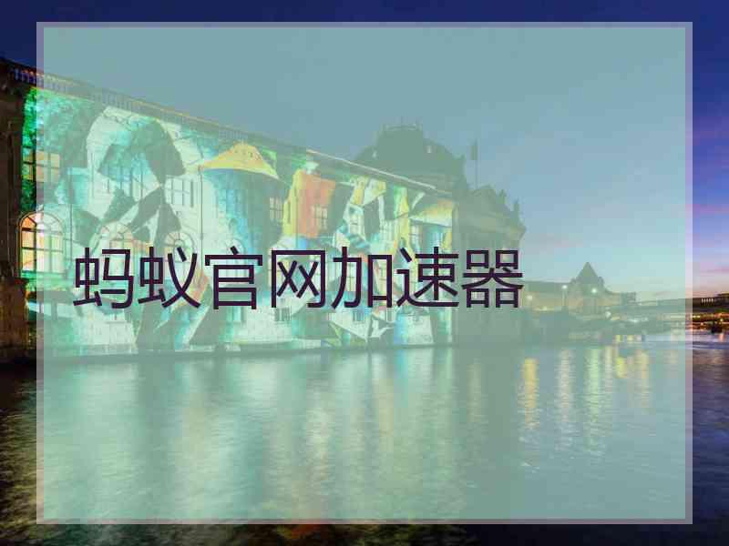 蚂蚁官网加速器