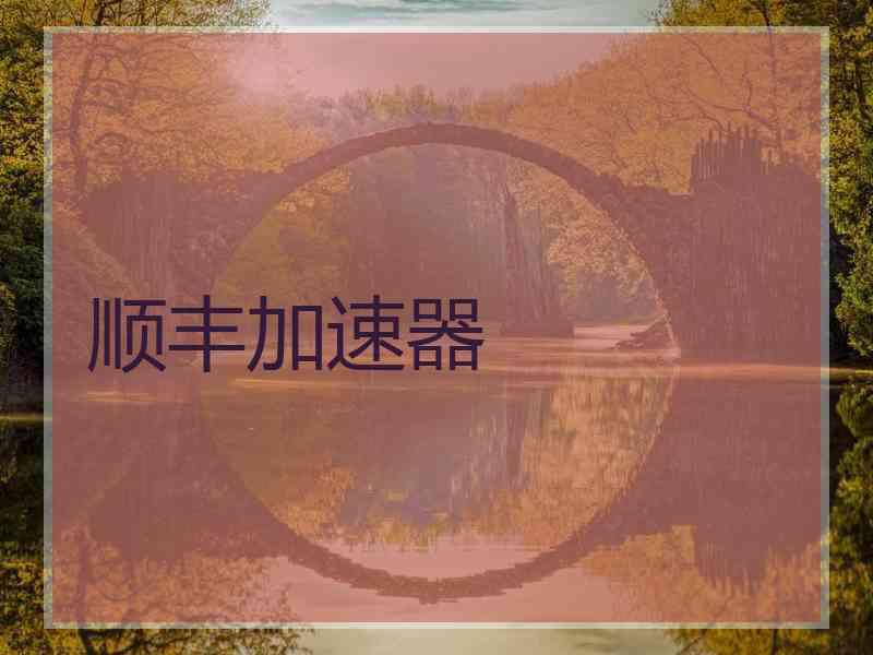 顺丰加速器