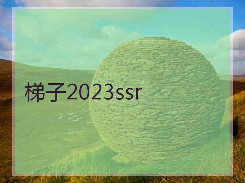梯子2023ssr