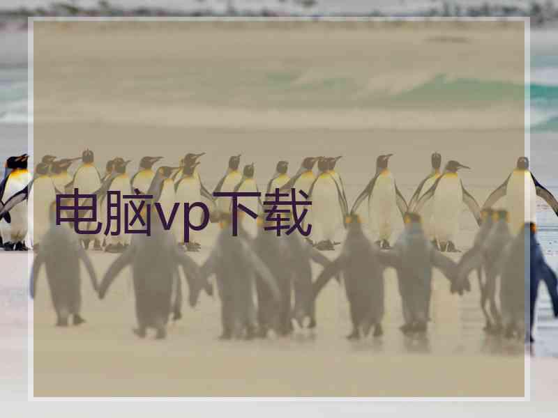电脑vp下载