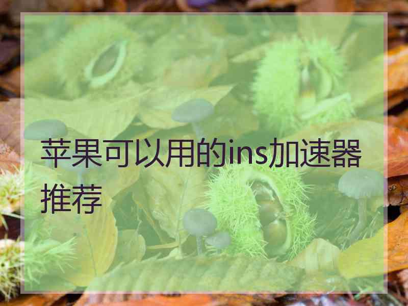 苹果可以用的ins加速器推荐