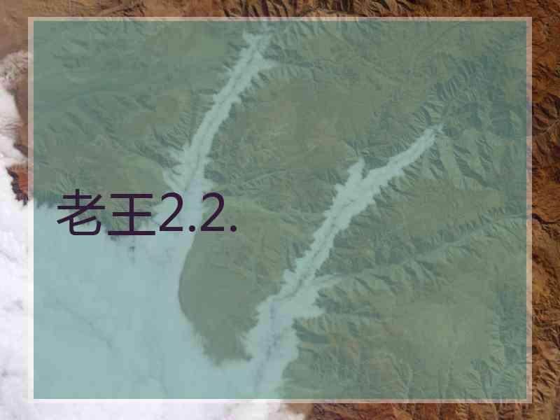 老王2.2.