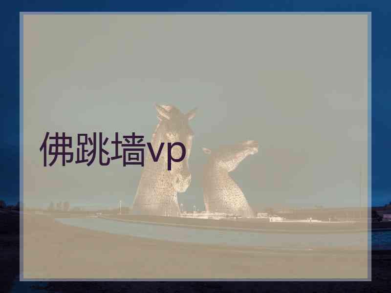 佛跳墙vp
