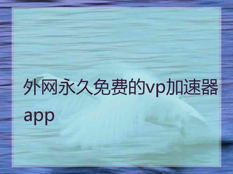 外网永久免费的vp加速器app