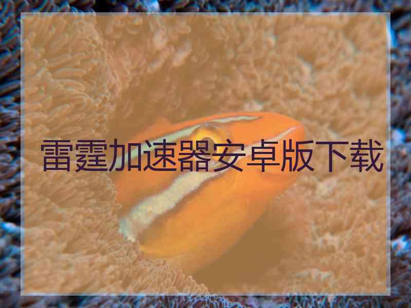 雷霆加速器安卓版下载